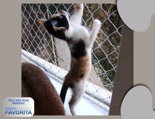 redes_para_animais